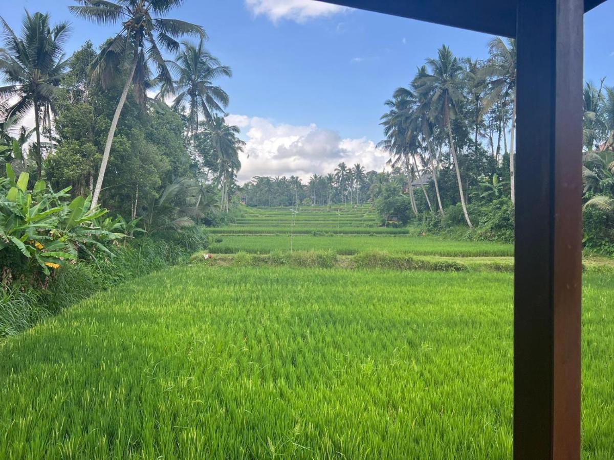 Ubud Sawah Scenery Villa And Homestay Tegallalang  Extérieur photo