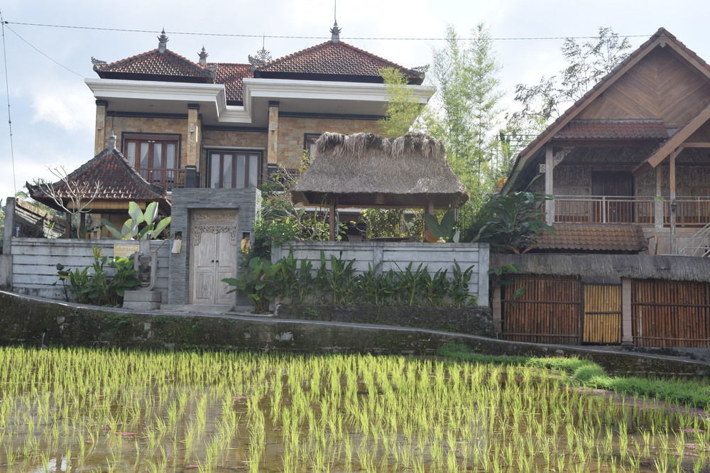 Ubud Sawah Scenery Villa And Homestay Tegallalang  Extérieur photo