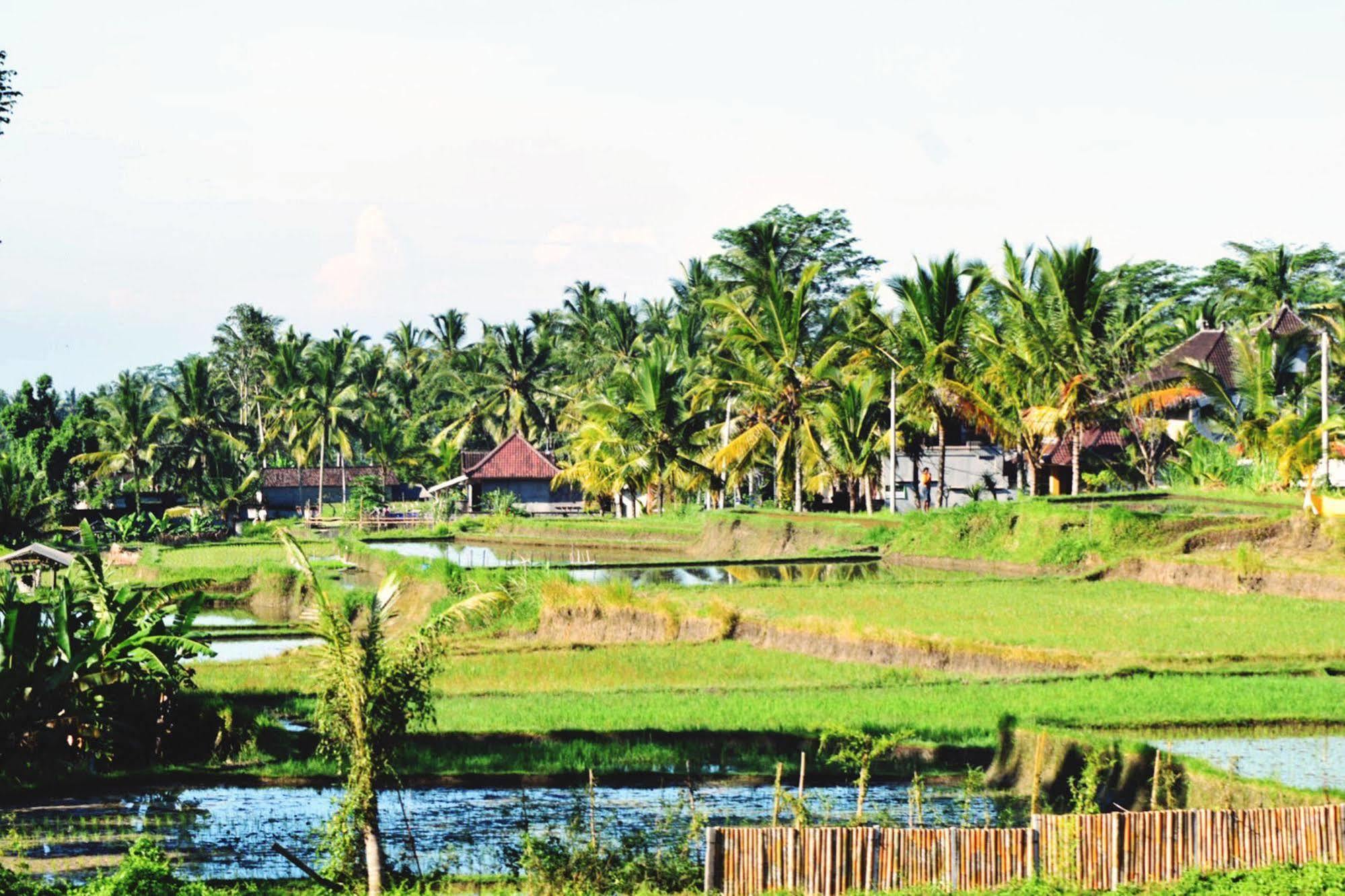 Ubud Sawah Scenery Villa And Homestay Tegallalang  Extérieur photo