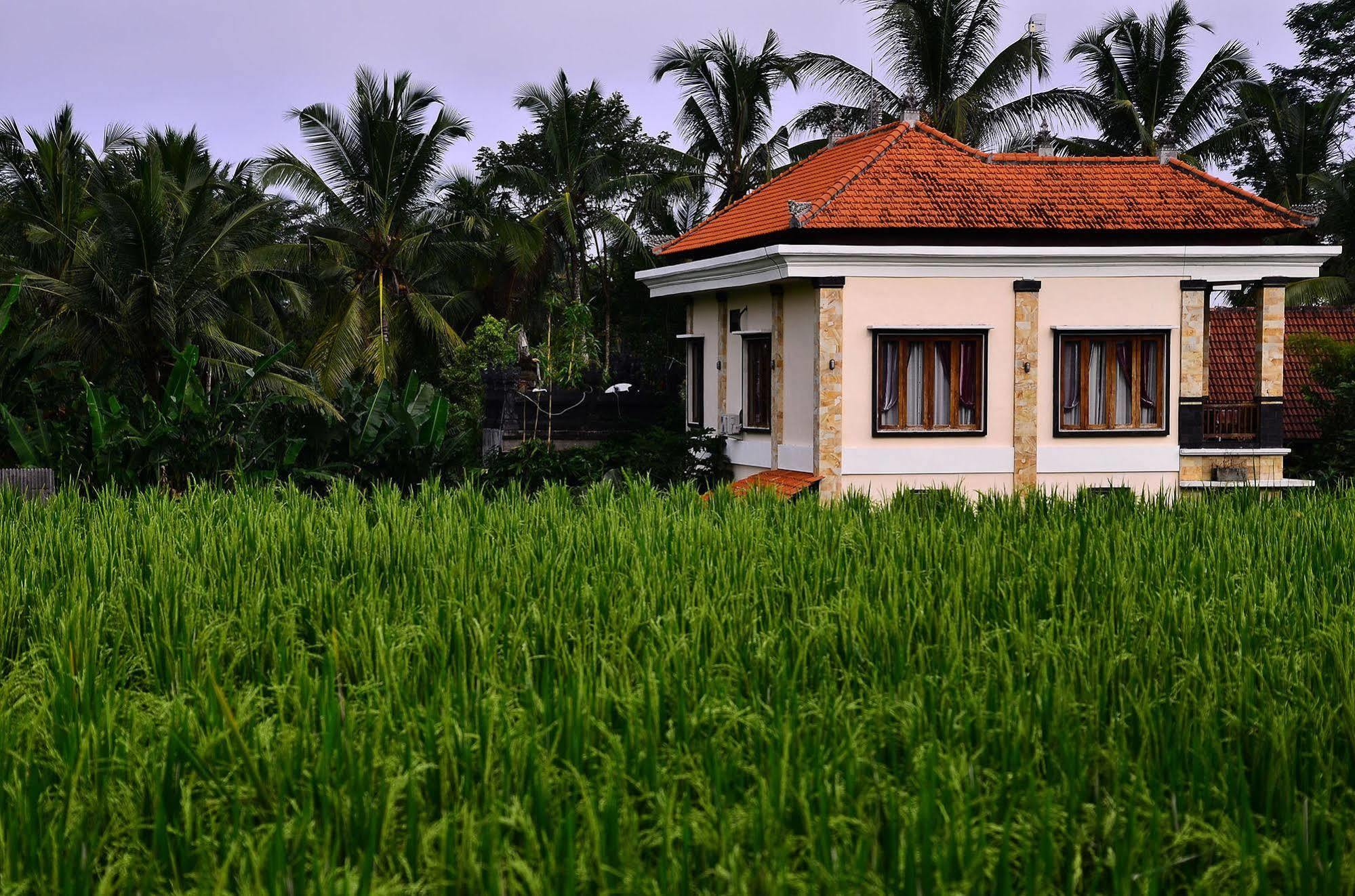 Ubud Sawah Scenery Villa And Homestay Tegallalang  Extérieur photo