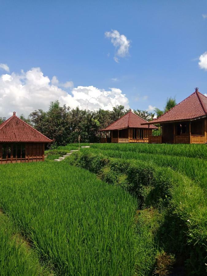 Ubud Sawah Scenery Villa And Homestay Tegallalang  Extérieur photo